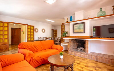 Clara R 625.2: Tavolo, Divano, Proprietà, Mobilia, Cornice, Legna, Illuminazione, Interior Design, Soggiorno, Arancia