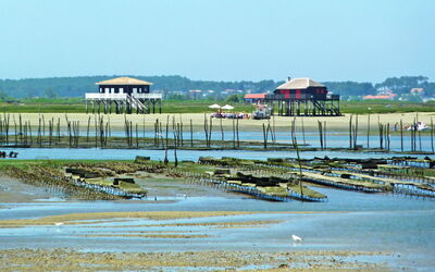 Arcachon 617