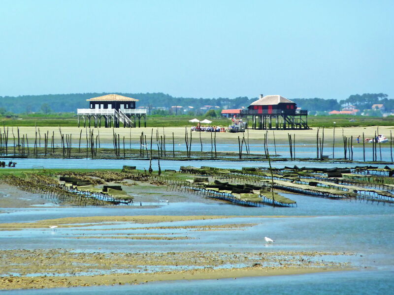 Arcachon 617