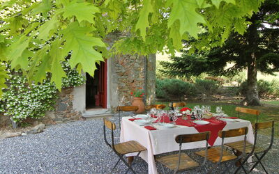 Il Leccio