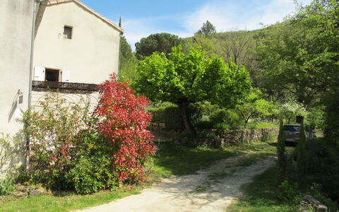 Marguerie: Pianta, Cielo, Fiore, Proprietà, Costruzione, Finestra, Nube, Paesaggio Naturale, Casa, Lotto