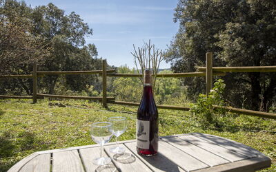 Alloggio:&nbsp;Domaine de Sévenier Chêne Blanc 620.1