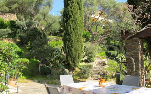 Le Lavandou 604: Proprietà, Albero, Vegetazione, Giardino, Botanica, Immobiliare, Tavolo, Pianta, Giardino Botanico, Cortile