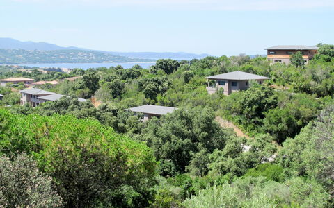 Bruyères 1: Vegetazione, Proprietà, Shrubland, Paesaggio Naturale, Comunita 'Impianto, Riserva Naturale, Biome, Albero, Collina, Botanica