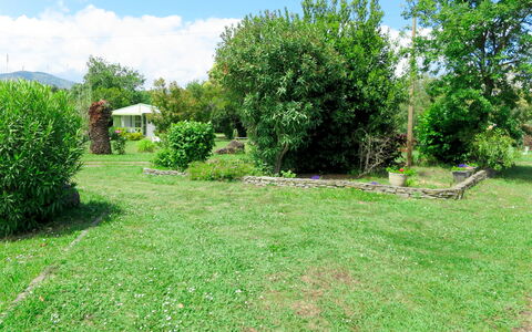 San Nicolao 674: Lotto, Proprietà, Erba, Vegetazione, Paesaggio Naturale, Cortile, Riserva Naturale, Prato, Giardino, Albero