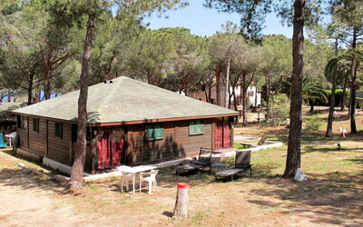 Calvi 609