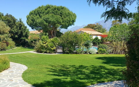 Calvi 610: Cielo, Pianta, Albero, Paesaggio Naturale, Lotto, Shade, Woody Impianto, Erba, Arbusto, Groundcover