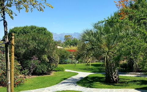 Calvi 610: Pianta, Cielo, Proprietà, Comunita 'Impianto, Paesaggio Naturale, Vegetazione, Albero, Lotto, Erba, Arecales