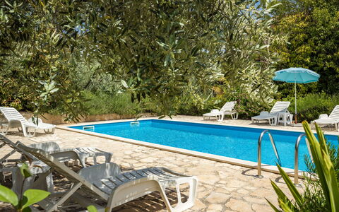 Poreč 608: Acqua, Pianta, Mobilia, Proprietà, Piscina, Sedia, Shade, Mobili Da Esterno, Albero, Rettangolo