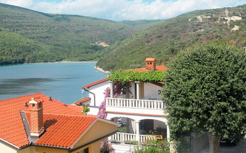 Labin 755