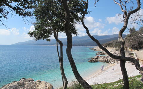 Rabac 638: Acqua, Cielo, Nube, Pianta, Risorse Idriche, Paesaggio Naturale, Legna, Albero, Lago, Tronco