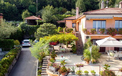 Mošćenička Draga 616: Proprietà, Casa, Zona Residenziale, Immobiliare, Costruzione, Casa, Quartiere, Tetto, Botanica, Albero