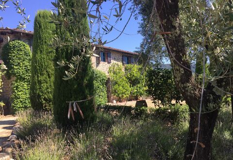 Macennere: Vegetazione, Proprietà, Albero, Casa, Cielo, Costruzione, Arbusto, Graminacee, Area Rurale, Architettura