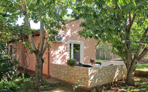 Catarina 1: Pianta, Costruzione, Finestra, Albero, Lotto, Casa, Villetta, Legna, Zona Residenziale, Erba