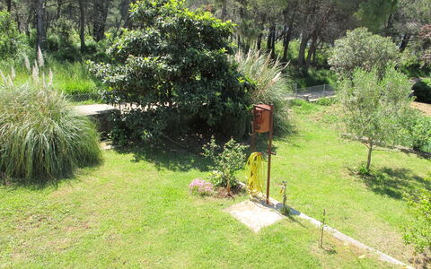 Zadar 618: Pianta, Proprietà, Comunita 'Impianto, Paesaggio Naturale, Albero, Lotto, Erba, Paesaggio, Groundcover, Pascolo
