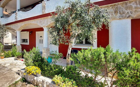 Vodice 613: Pianta, Costruzione, Finestra, Fiore, Botanica, Vegetazione, Casa, Giallo, Quartiere, Zona Residenziale