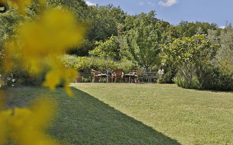 Ricavoli: Natura, Paesaggio Naturale, Giallo, Proprietà, Giardino, Erba, Albero, Botanica, Prato, Paesaggio