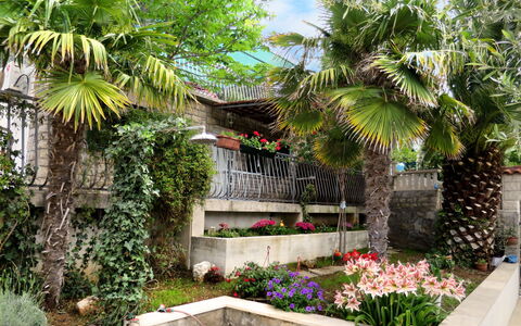 Garden: Pianta, Proprietà, Costruzione, Comunita 'Impianto, Fiore, Albero, Foglia, Natura, Botanica, Cielo