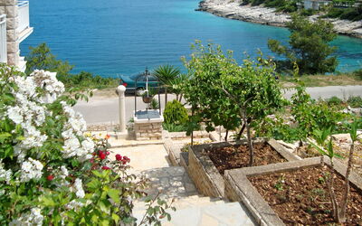 Korčula Korčula 604: Proprietà, Immobiliare, Casa, Pianta, Costruzione, Fiore, Appartamento, Vacanza, Mare, Estate