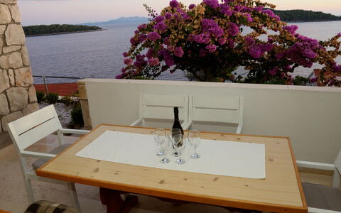 Korčula Korčula 606: Tavolo, Pianta, Mobilia, Proprietà, Acqua, Fiore, Cielo, Vaso Di Fiori, Costruzione, Finestra