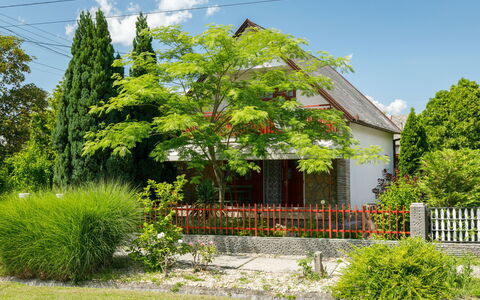 Rakoczi: Verde, Arbusto, Casa, Tetto, Villetta, Giardino, Primavera, Prato, Cortile, Agriturismo