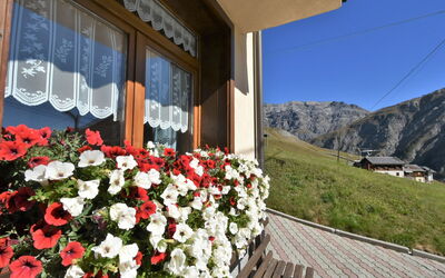 Livigno 619: Pianta, Fiore, Costruzione, Proprietà, Finestra, Vaso Di Fiori, Cielo, Montagna, Casa, Petalo