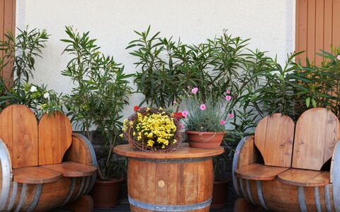 Andriano 602: Vaso Di Fiori, Pianta Della Casa, Pianta, Fiore, Giardino, Erba, Canna, Camera, Legna, Mobilia