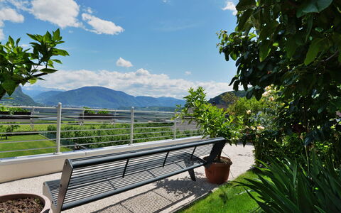 Andriano 602: Cielo, Vegetazione, Verde, Proprietà, Albero, Nube, Riserva Naturale, Immobiliare, Botanica, Erba