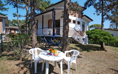 Lignano Pineta 620: Pianta, Cielo, Costruzione, Proprietà, Finestra, Tavolo, Natura, Albero, Casa, Lotto