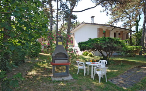 Lignano Pineta 620: Pianta, Costruzione, Sedia, Albero, Cielo, Casa, Mobili Da Esterno, Finestra, Shade, Erba