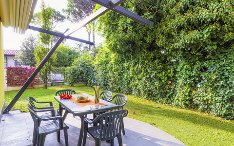 Begonie: Pianta, Costruzione, Cielo, Finestra, Albero, Lotto, Casa, Urban Design, Zona Residenziale, Immobiliare