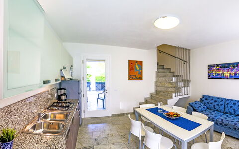 Begonie: Pianta, Costruzione, Cielo, Finestra, Albero, Lotto, Casa, Urban Design, Zona Residenziale, Immobiliare