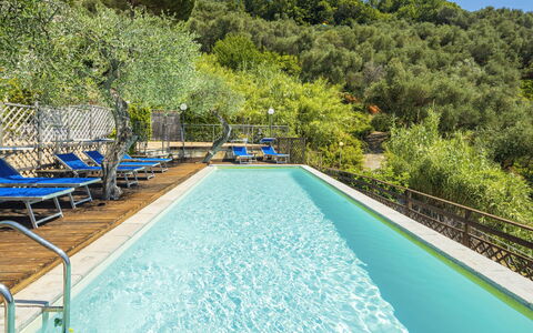 Moneglia 665: Acqua, Proprietà, Pianta, Piscina, Natura, Azzurro, Blu, Albero, Botanica, Paesaggio Naturale