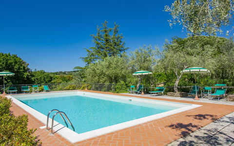 Casale Marittimo 607: Acqua, Cielo, Proprietà, Piscina, Azzurro, Shade, Albero, Pianta, Rettangolo, Corpo D'Acqua