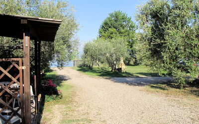Lago Di Bolsena 657: Paesaggio Naturale, Albero, Riserva Naturale, Proprietà, Erba, Botanica, Paesaggio, Area Rurale, Immobiliare, Pianta