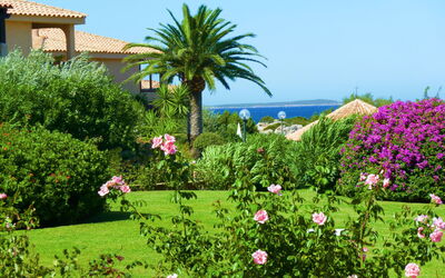 Golfo Di Marinella 609