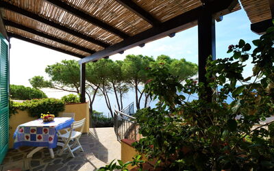 Alloggio:&nbsp;Oasis 2 630.4