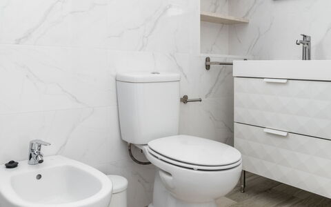 Avó Lucy: Idraulico Fixture, Toilet Seat, Proprietà, Gabinetto, Bianca, Prodotto, Viola, Bagno, Nero, Lavandino Del Bagno