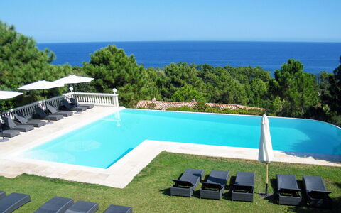 Solenzara 647: Proprietà, Piscina, Casa, Costruzione, Immobiliare, Ricorrere, Villa, Erba, Estate, Vacanza