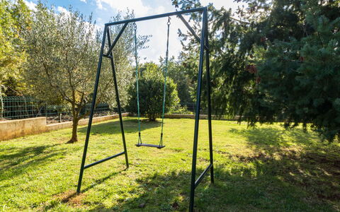 Lara: Swing, Albero, Erba, Attrezzatura Giochi All'Aperto, Lotto, Parco, Pianta, Terreno Di Gioco, Prato, Prato