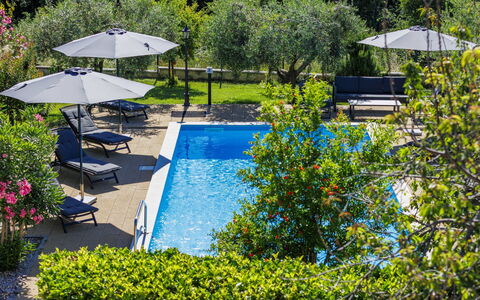 Sandra: Piscina, Ricorrere, Giardino, Mobili Da Esterno, Ombrello, Lettino, Eco Hotel, Shade, Landscaping, Hacienda