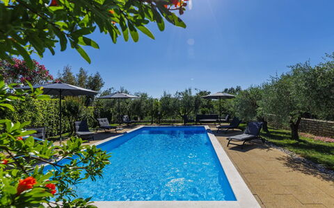 Sandra: Blu, Piscina, Ricorrere, Eco Hotel, Giardino, Mobili Da Esterno, Landscaping, Estate, Hacienda, Lettino