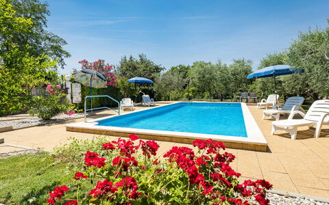 Sandra: Acqua, Fiore, Cielo, Pianta, Proprietà, Albero, Petalo, Piscina, Vegetazione, Nube