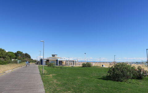 Dora & le Pinetine (Bib675): Legna, Illuminazione, Interior Design, Pavimentazione, Pavimento, Soggiorno, Immobiliare, Latifoglie, Tavolo, Fascio