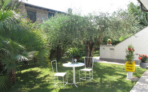 Mia: Cielo, Pianta, Mobilia, Comunita 'Impianto, Tavolo, Sedia, Costruzione, Vaso Di Fiori, Tavolo Esterno, Finestra