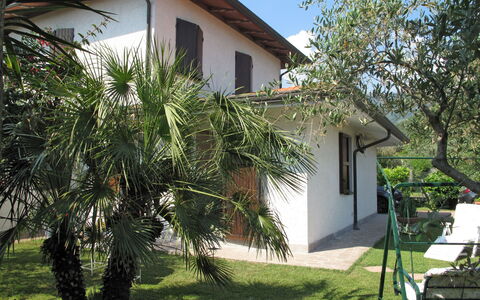 Mia: Proprietà, Casa, Casa, Immobiliare, Albero, Costruzione, Villetta, Cortile, Facciata, Villa