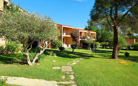 Cannigione 614: Proprietà, Zona Residenziale, Immobiliare, Casa, Quartiere, Casa, Erba, Costruzione, Albero, Cortile