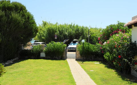 Mirto Marino (Rei410): Giardino, Proprietà, Prato, Erba, Arbusto, Casa, Cortile, Albero, Immobiliare, Botanica