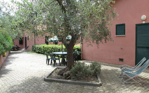 Alloggio:&nbsp;Elbamar Lacona 1 615.4