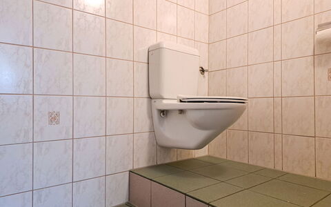 Zell am Ziller 685: Toilet Seat, Pavimentazione, Gabinetto, Bagno, Pavimento, Idraulico Fixture, Piastrella, Interior Design, Idraulico